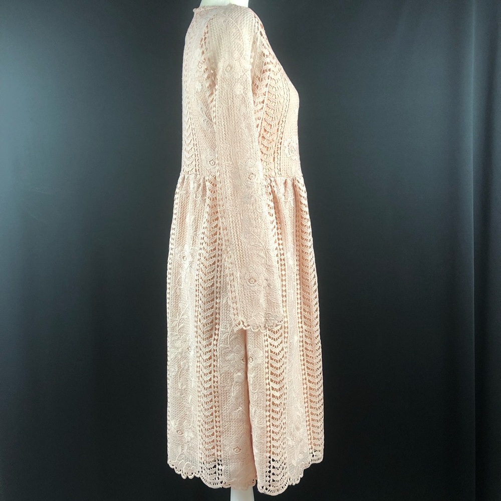 Tea N Rose Blush Crochet Lace Dress - Picture 5 of 8